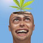 Cannabis Stigma
