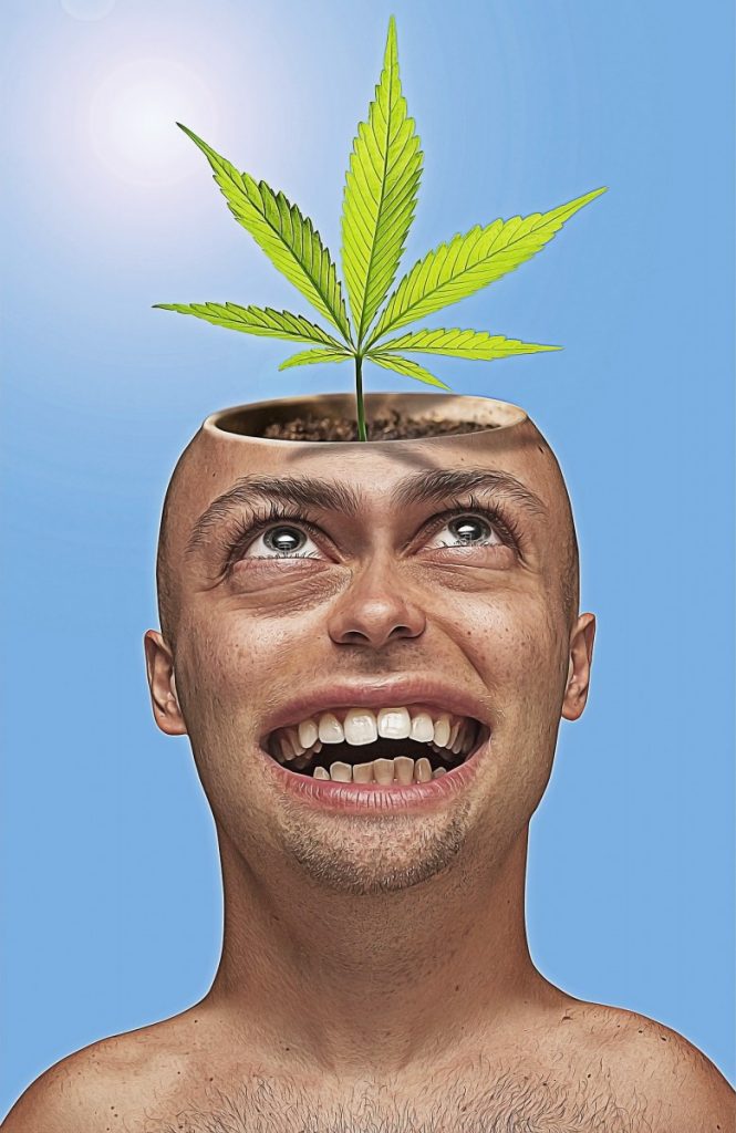 Why is Marijuana Illegal? L i f e s t y l e W e l l n e s s Rx